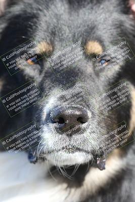 media/Jan-15-2026-Racers Edge (Thu) [[dfebeb70ab]]/1-Around the Pits-Track Walk/